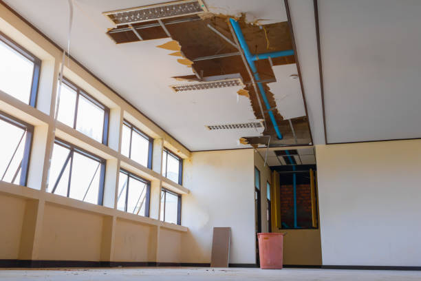Best Emergency water damage restoration  in Riverside, IL