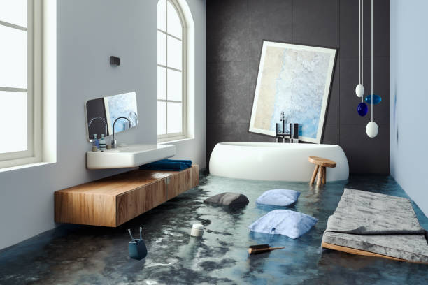 Best Water damage contractors near me  in Riverside, IL