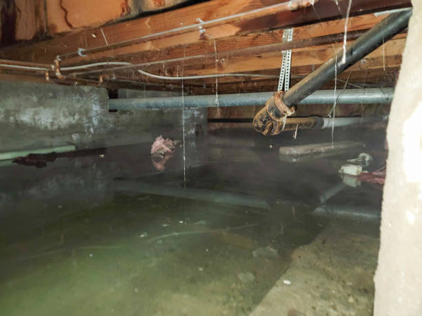Best Professional water damage repair  in Riverside, IL