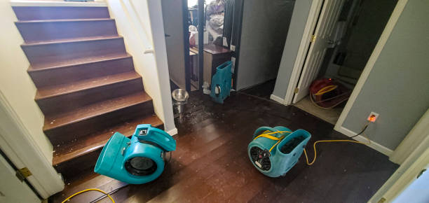 Best 24-hour water damage restoration  in Riverside, IL