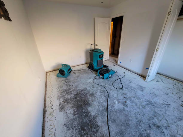 Best Sewage cleanup and water damage restoration  in Riverside, IL