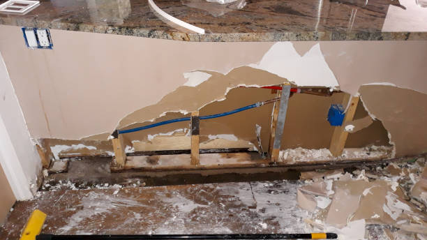 Best Professional water damage repair  in Riverside, IL