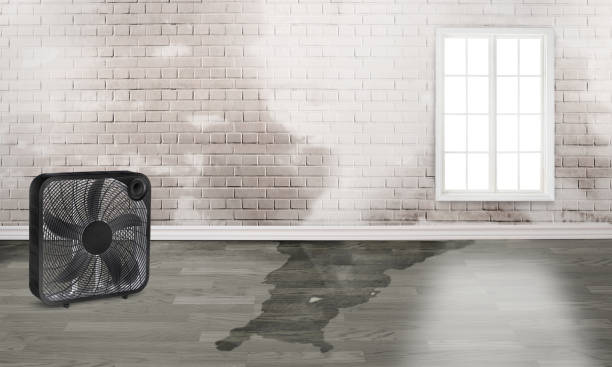 Best Ceiling water damage repair  in Riverside, IL