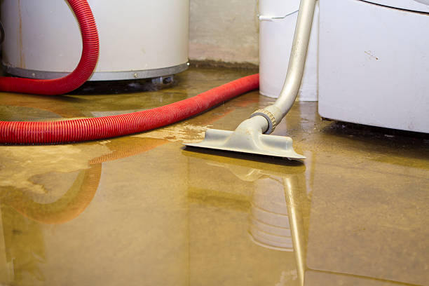 Best Residential water damage restoration  in Riverside, IL