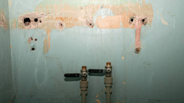 Best Water damage restoration near me  in Riverside, IL