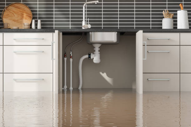 Best Carpet water damage restoration  in Riverside, IL