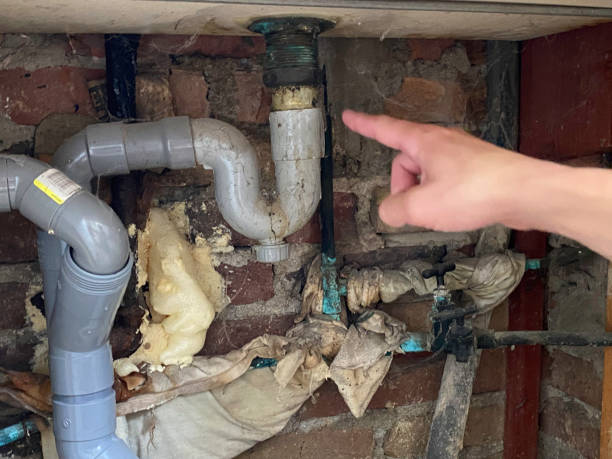 Best 24/7 water damage repair  in Riverside, IL
